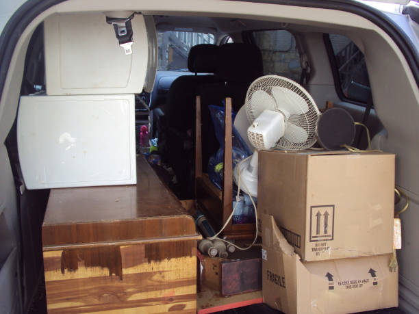 Best Attic Cleanout  in Germantown, TN